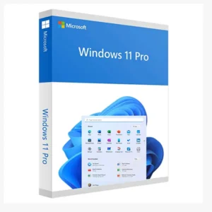 Windows 11 Pro